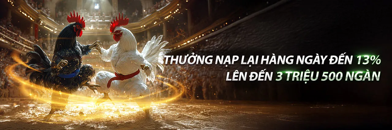 Đấu trường đá gà trực tuyến sôi động tại 79kin link mới